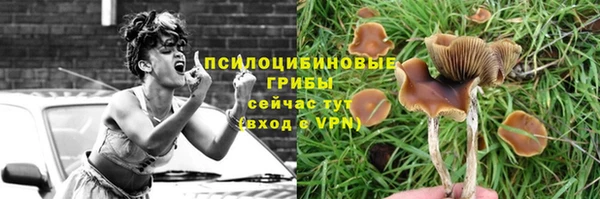 прущая мука Богданович