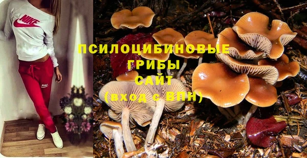 прущая мука Богданович