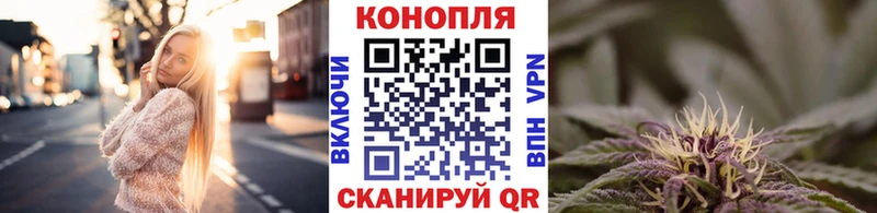 Каннабис семена  MEGA tor  Пионерский 